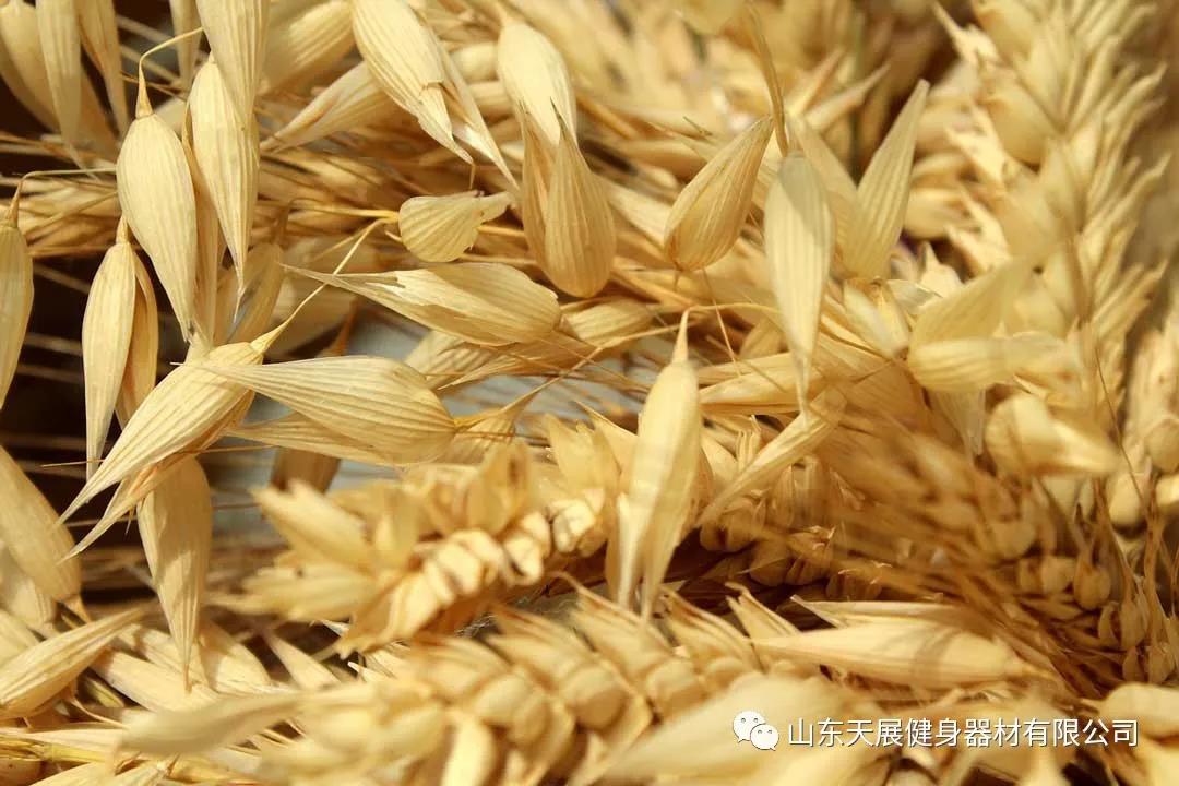 來康康碳水化合物到底是個啥